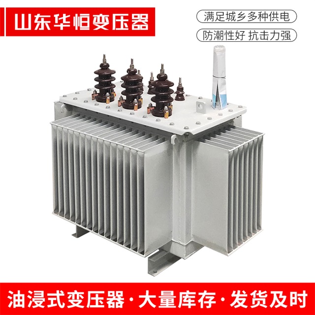 S13-10000/35新民新民新民油浸式变压器厂家